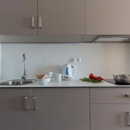 公寓 弗拉特里430bcn公寓 巴塞罗那