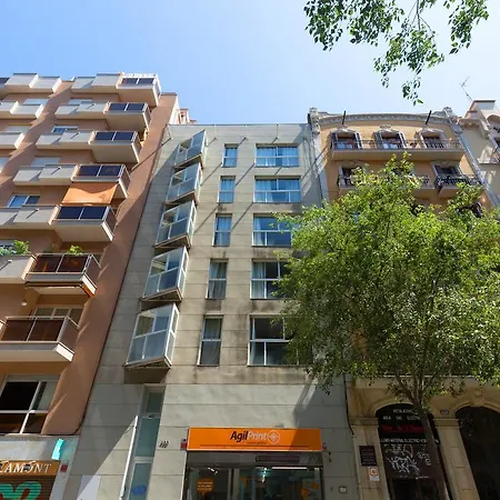 플라텔리 430 Bcn